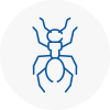 Ant Removals In Macclesfield